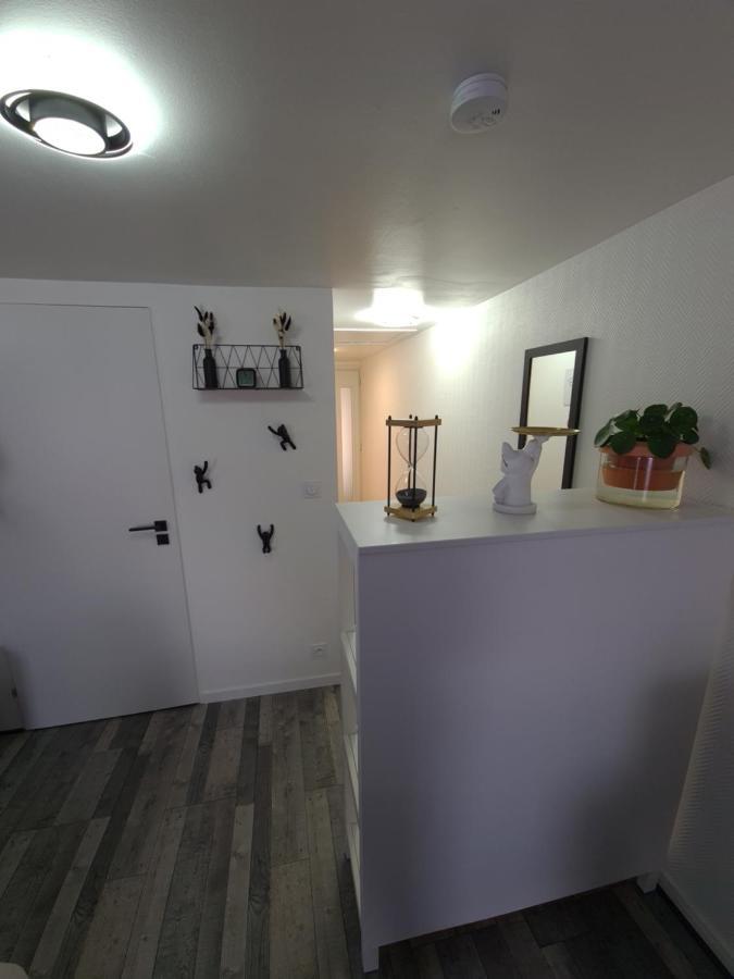 Un Appartement Qui A Du Chien Epernay Exterior photo