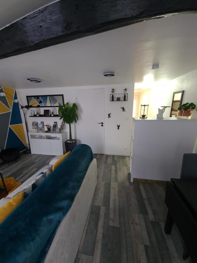 Un Appartement Qui A Du Chien Epernay Exterior photo