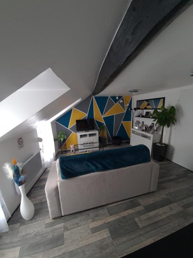 Un Appartement Qui A Du Chien Epernay Exterior photo