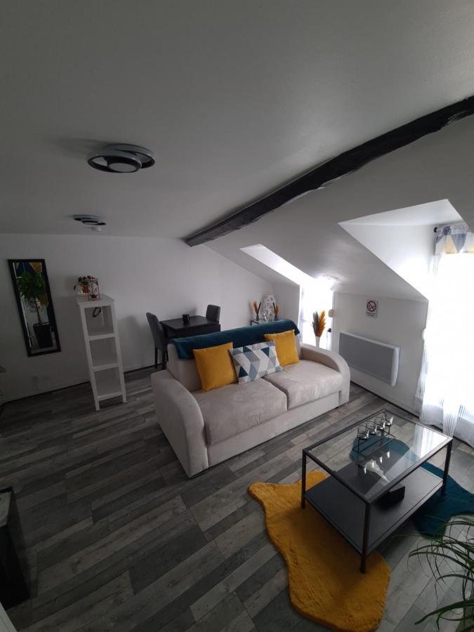 Un Appartement Qui A Du Chien Epernay Exterior photo
